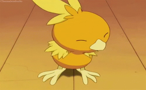 Torchic